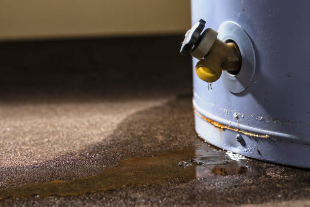 Best Water damage repair service  in Mammoth, AZ
