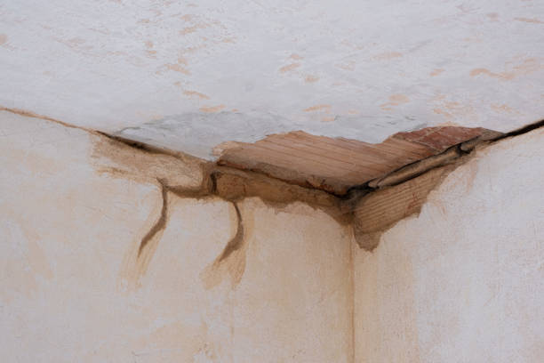 Best Flood restoration services  in Mammoth, AZ