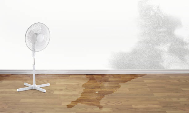 Best Sewage cleanup and water damage restoration  in Mammoth, AZ