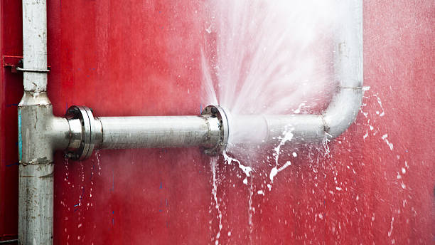 Best Flood damage cleanup  in Mammoth, AZ